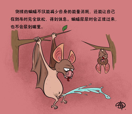 疫情结束后的冷知识(疫情结束有什么好处)