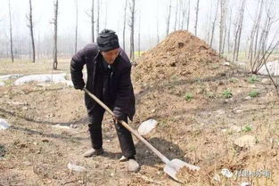 饶阳新坟不添土是为嘛 