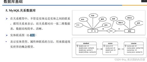 数据库基础,数据库概述