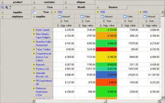 HierCube VCL OLAP Grid