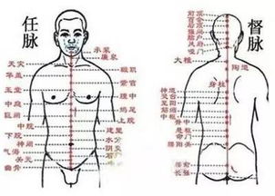 经络常通,健康无病 循经拍打通经络的方法 