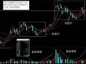 什么是洗盘 庄家洗盘的目的是什么？