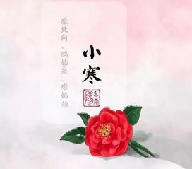 小寒节气佳句