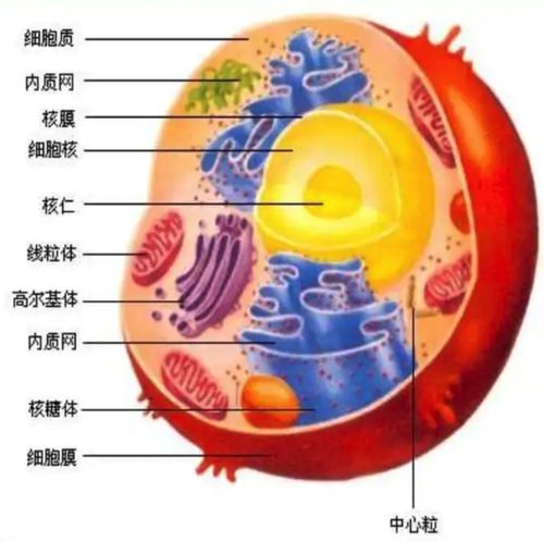 软件架构设计的核心 抽象与模型 战略编程