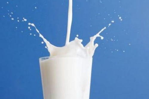 我说的是纯牛奶「今天说说纯牛奶」