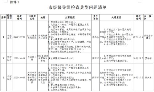 市级督查发现典型问题通报 10月9日 10日