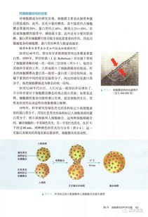 理科生注意 高中生物教材有重大调整 不注意难考好成绩