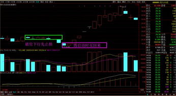 我把我手上的股票卖了,怎么样才能拿到现金