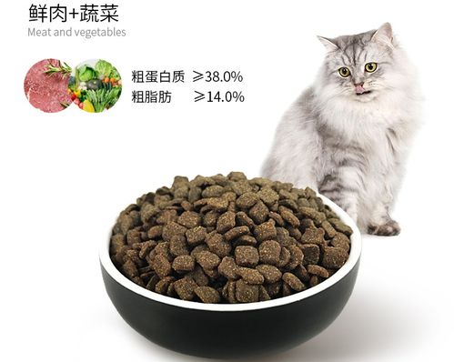 怎么选择好猫粮,如何判断猫粮好坏,猫粮怎么选择牌子