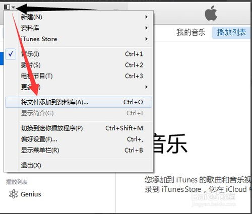 苹果怎么删除电话铃声里的歌单图片 苹果怎么删除电话铃声里的歌单图片和视频