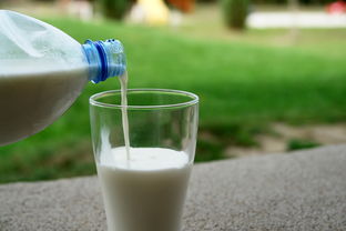 牛奶一级过敏可以吃吗？专家解答来了！