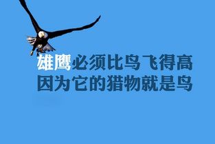 最新八月你好的励志网名大全2017 七月再见的正能量网名