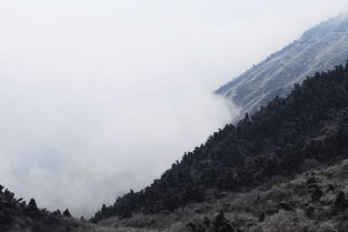 雪,雾,南岳衡山