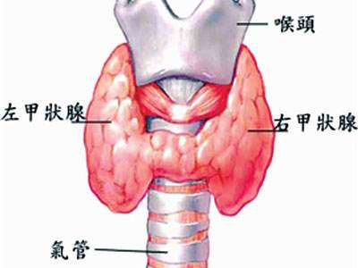 怀孕甲状腺1.76,怀孕甲状腺素偏高对胎儿影响大吗