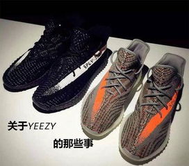 关于Adidas椰子鞋的那些事 