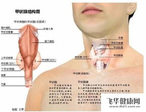 在医院检查b超甲状腺癌，没建议穿刺开刀，切除后发现良性，怎么办