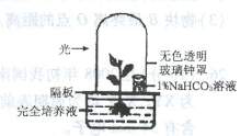 在化学中，电荷量是什么？离子晶体的熔沸点与电荷量成正比，这里的电荷量要怎么判断