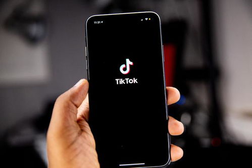 TikTok（海外版抖音）在国内如何使用_海外抖音广告价格