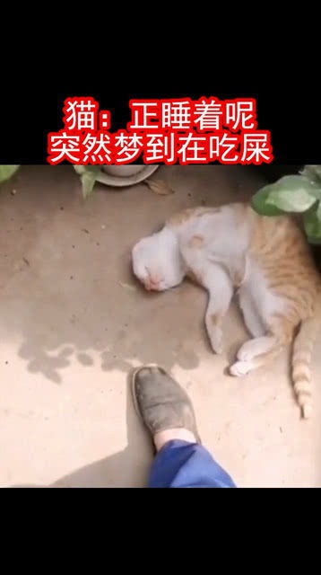 这是做噩梦了吗 