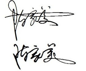 一笔签名设计免费版 我的名字陈家美 