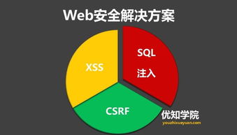 XSS漏洞全解析：原理、类型、攻击途径与解决方案  第13张