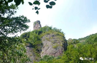 浦江最高峰朝天门获 市级森林公园 ,风景确实不一般 