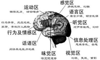 睡觉鬼压床,真是鬼上身 科学揭秘这种诡异体验 