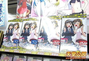 天籁之音 OVA第2卷的内容上市
