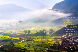 婺源旅游市场调查方案(多少岁以上的老人可以免车票和旅游点门票)