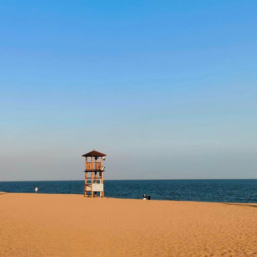 日照旅行攻略,看海游玩打卡不能错过的0花费沿海景点大全