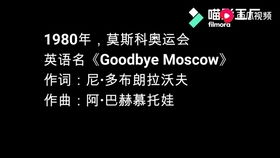 怀孕时间最长的动物排行榜,大象孕期长达21个月