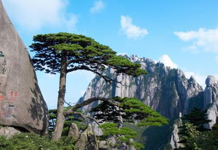 安徽黄山黄山风景区