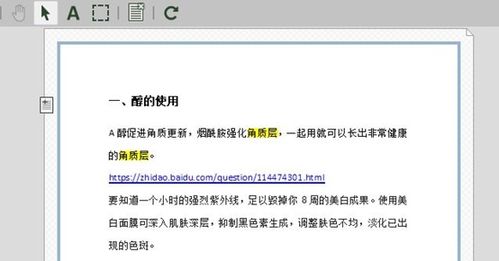 如何突出显示PDF文档中的一些重要文本信息