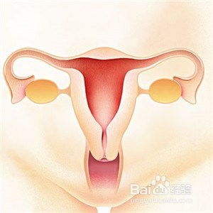 子宫内膜厚度多少适合怀孕,子宫内膜多厚才可以受孕