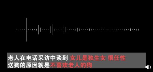 85岁老人养了三年的狗狗被女儿偷偷扔掉,网友 你真的不配做儿女