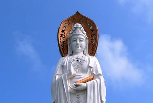 今日 4月20日 生肖运势吉凶