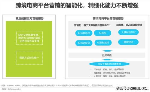 跨境电商运营交流哪个平台比较好(海外虚拟空间分销商)