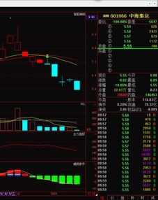 中海集运股票,中海集运股票: 投资者关注的热门选择