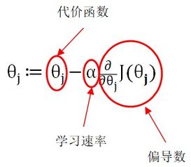 sxps是什么意思啊