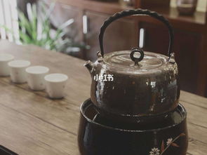 银壶,一个陌生的词语,大部分的人并不知道银壶是可以用来煮水泡茶的 家居用品 家居家装 小红书 