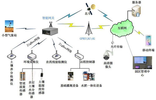 乡村智慧农业物联网传感器布局