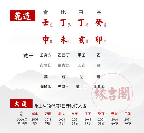 地支亥卯未三合 巨富(2025年亥卯未三合木局的好处)