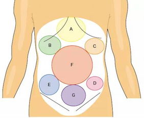 肚子右边疼是怎么回事 信息阅读欣赏 信息村 K0w0m Com