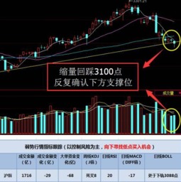 目前最可能出现妖股的是哪些板块