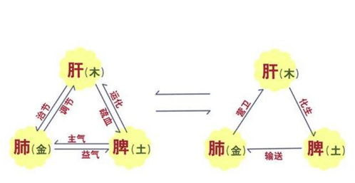 四柱旺衰最简单判断方法,断八字强弱的最简单方法