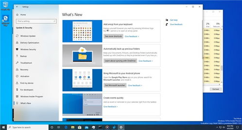 WINDOWS18-19功能解析,高效使用指南和实用推荐