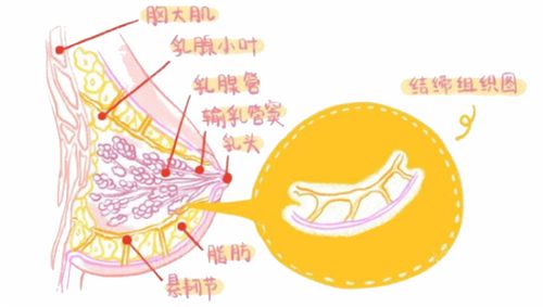 有哪些方法可以提高流放之路游戏品质？