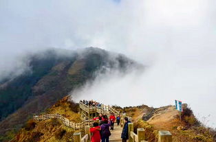 杜甫关于雪山的诗句