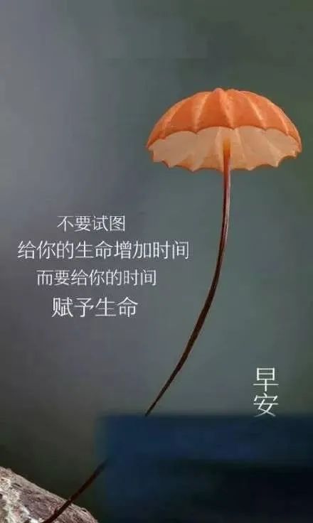 励志句子正能量短句,早安励志正能量短句？