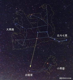 大熊座北斗七星,大熊座和北斗七星的关系